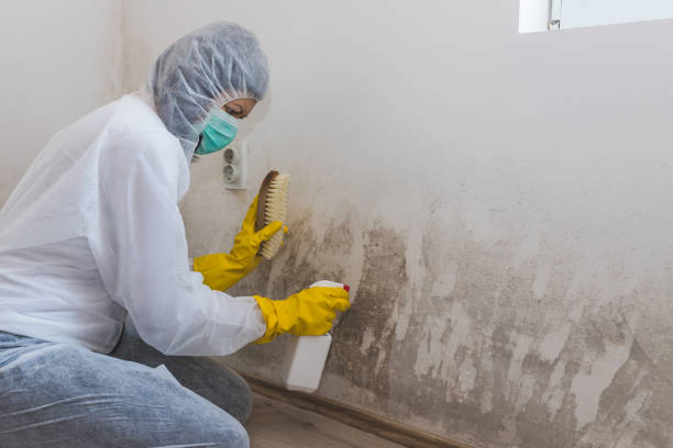 Best Crawl Space Mold Removal  in Haskell, OK