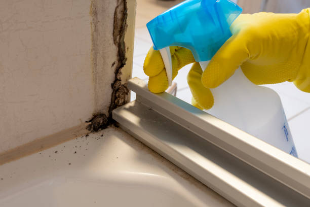 Best Emergency Mold Removal  in Haskell, OK