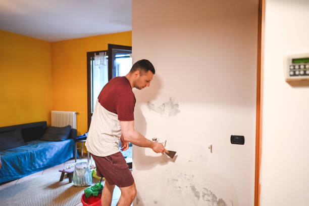 Best Home Mold Removal  in Haskell, OK